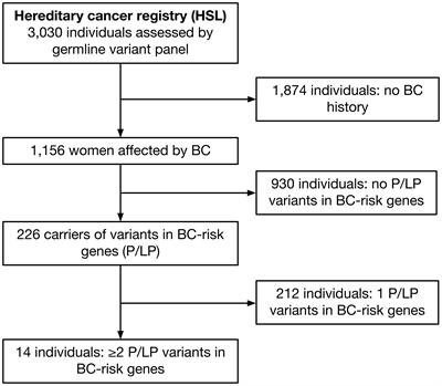 Double heterozygous pathogenic variants prevalence in a cohort of patients with hereditary breast cancer